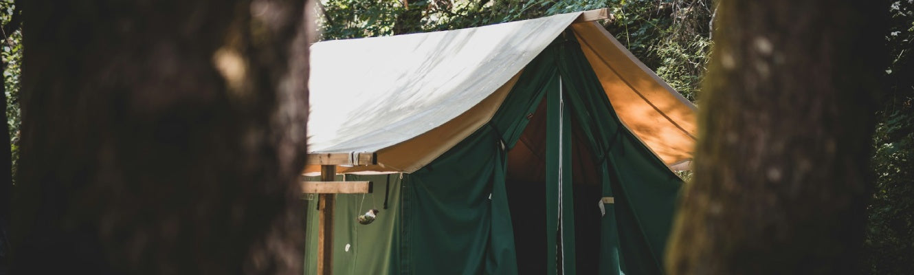 12 Summer Camping Tips Every New Camper Needs to Know